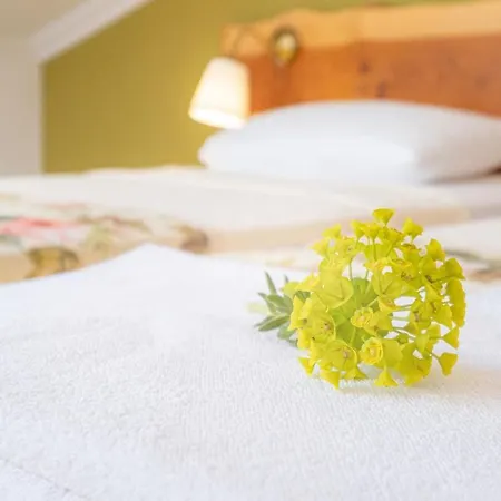 Apartmanhotel Garden House *